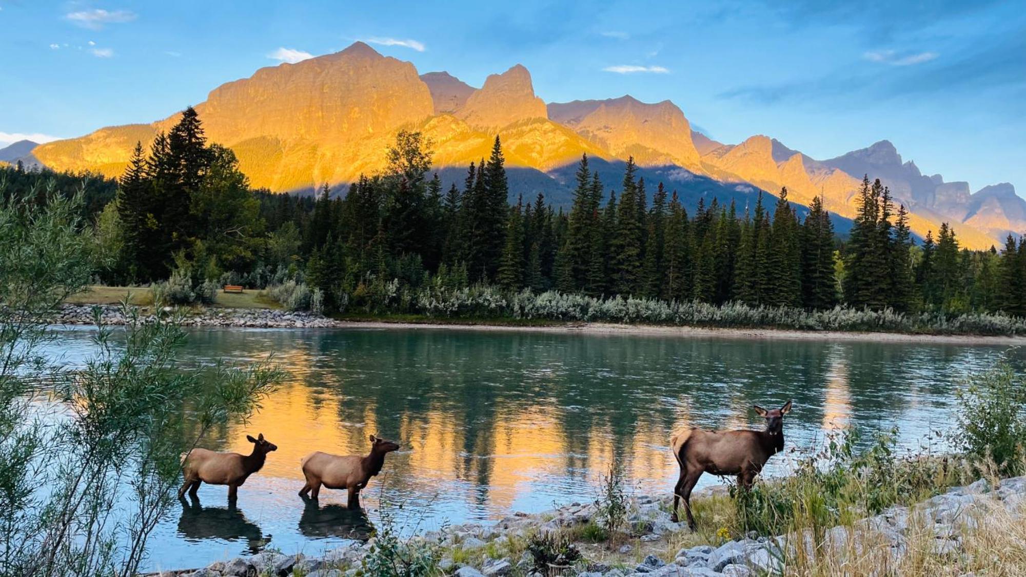 Ferienwohnung Unit #302 Mountain View 2 Beds In Dt Canmore Exterior foto